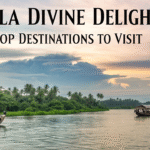 Kerala Divine Delights: Top Destinations to Visit