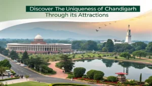 Discover the Uniqueness of Chandigarh through Its Attractions