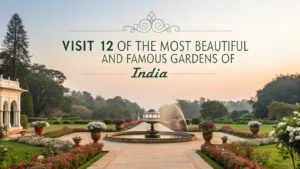 Visit 12 of the Most Beautiful and Famous Gardens of India