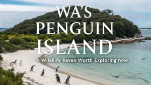 WA's Penguin Island A Wildlife Haven Worth Exploring Now